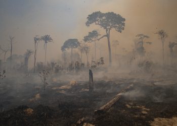 Fire consumes land recently deforested by cattle farmers near Novo Progresso, Para state, Brazil, Sunday, Aug. 23, 2020. Environmentalists say that the Amazon has lost about 17% of its original area and, fear at the current it could reach a tipping point in the next 15 to 30 years after which it could cease to generate enough rainfall to sustain itself. (AP Photo/Andre Penner)