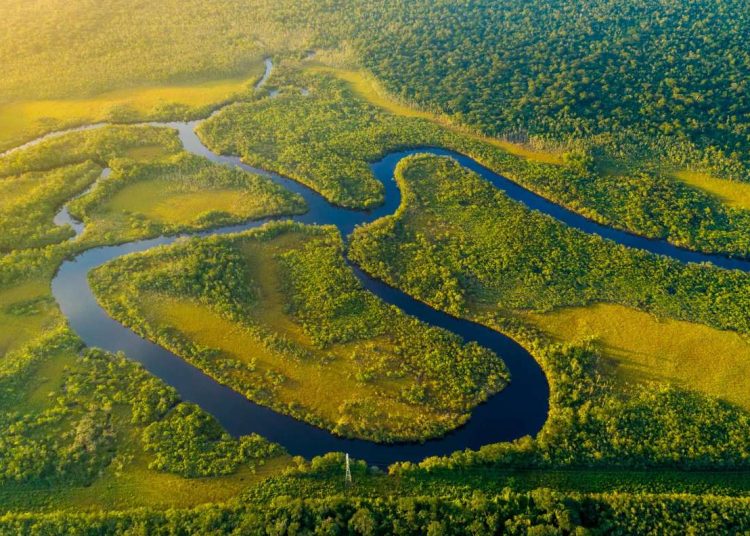 Amazonía brasileña | Fuente externa.