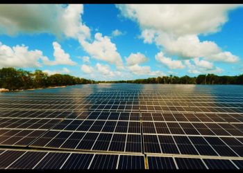 A través del acuerdo entre Cervecería Nacional Dominicana y Akuo, la casa cervecera se comprometió a comprar la energía que producirá el parque solar