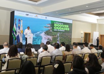 El viceministro de Turismo para la Cooperación Internacional de República Dominicana, Carlos Andrés Peguero. | Cortesía