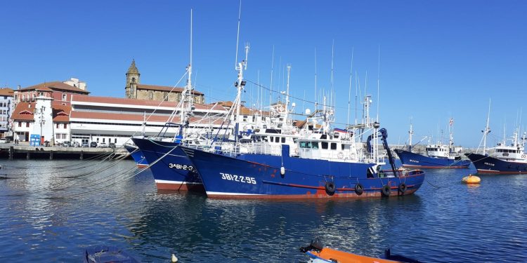 Pesca.- La UE llega a un acuerdo con Reino Unido para las posibilidades de pesca de 2022