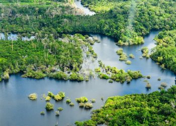 Vista aérea de la selva amazónica, cerca de Manaus, la capital del estado brasileño de Amazonas.
NEIL PALMER/CIAT
(Foto de ARCHIVO)
11/4/2022
