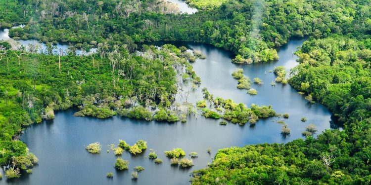 Vista aérea de la selva amazónica, cerca de Manaus, la capital del estado brasileño de Amazonas.
NEIL PALMER/CIAT
(Foto de ARCHIVO)
11/4/2022