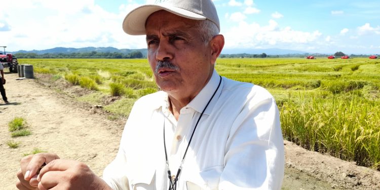 El presidente ejecutivo de la Junta Agroempresarial Dominicana (JAD), Osmar Benítez.