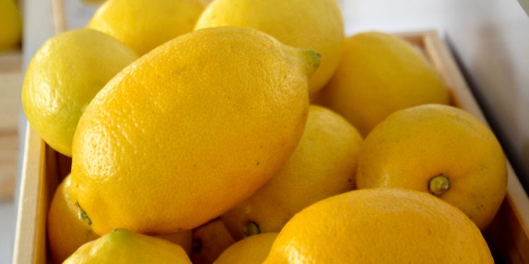 Limones (4)