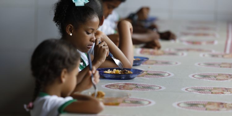 Alimentación escolar, niños, alimentación