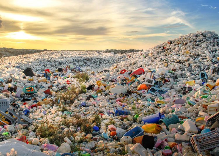 Los datos de la institución explican que más de 50,000 partículas de plástico son ingeridas por las personas cada año, sin tomar en cuenta las partículas inhaladas. - Fuente externa.
