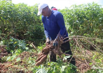 La agricultura dominicana emplea al 1.9% de la población ocupada formal. | Ronny Cruz