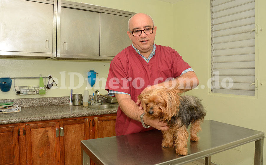 El veterinario Tull Datt en una consulta en su clínica