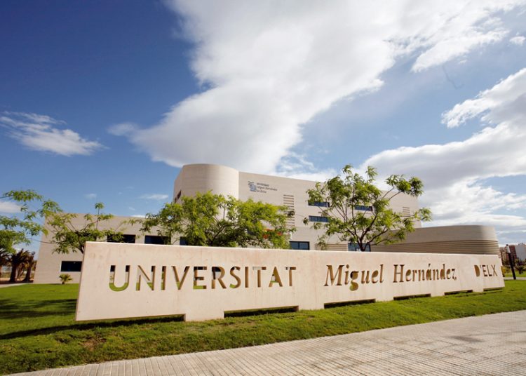 Campus de la Universidad Miguel Hernández (UMH) en Elche, este de Alicante, España. | Economía3.