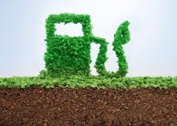 El gobierno de Estados Unidos emite créditos para la producción de biocombustibles en forma de créditos. Fuente externa.