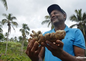 Según los datos, República Dominicana registra 177,799 productores agropecuarios. | Lésther Álvarez