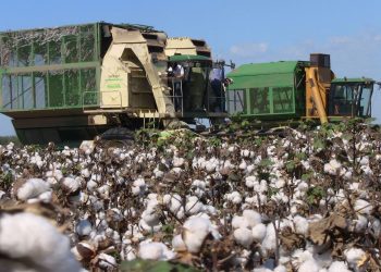 China es el principal productor y el que más consume algodón. | Fuente externa