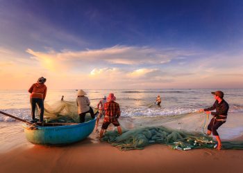 La norma cubre un determinado número de productos de la pesca para los que se reducirán o suspenderán los derechos durante el periodo 2024-2026. | Fuente externa.