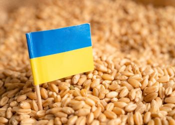 Cereal ucraniano | Fuente externa.