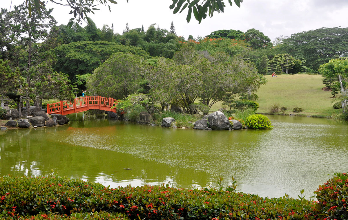 jardin botanico jardin japones