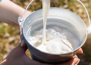 Cada dominicano consumió el equivalente a 246 libras de leche líquida en 2022. | Fuente externa.