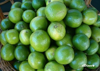 En 2023, el país recibió US$2,146,213 por la exportación y comercialización de limones a países de América y Europa.