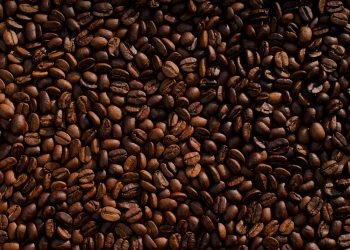 La variedad de café arábigo fue la más exportada (79%) durante este periodo. - Fuente externa.