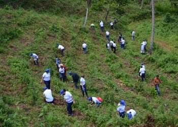 Personal del CNSS durnate la jornada de reforestación.