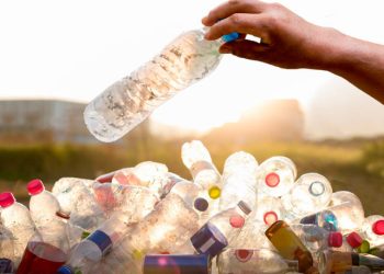 Botellas plásticas - Fuente externa.