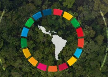 Las declaraciones de Valent se produjeron en el Foro de los Países de América Latina y el Caribe sobre el Desarrollo Sostenible en Santiago de Chile. - Fuente externa.