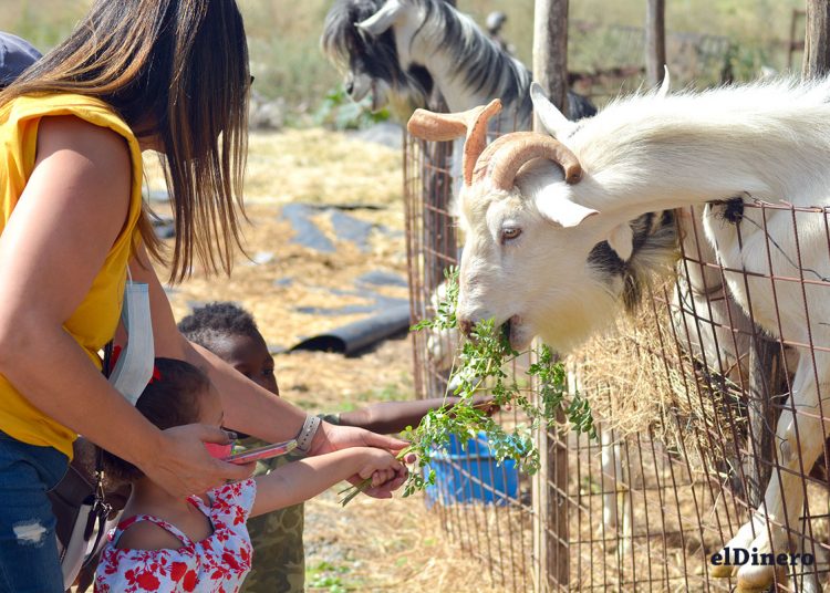 Los niños pueden estar en el campo con aire limpio, además tener contacto directo con los animales.