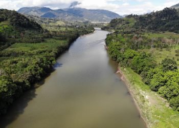 Los investigadores incidieron en que la desaparición de los bosques amazónicos influiría en la regulación climática del planeta. Pixabay.