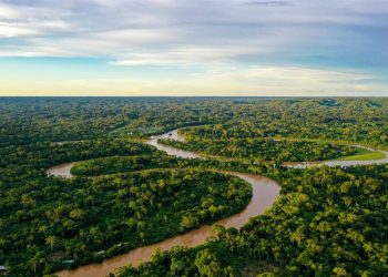 Amazonía brasileña - Fuente externa.