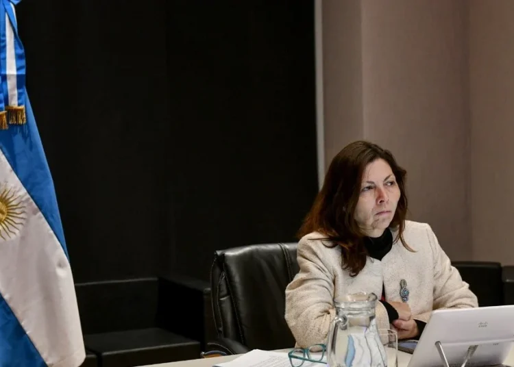 La ministra de Economía argentina, Silvina Batakis, durante su exposición telemática en la Cumbre del G20. | Clarín.