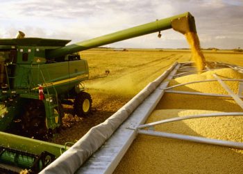 La producción de soja, el principal cultivo del país, aumentará un 3.6%, pero no será suficiente para compensar la caída del maíz. - Fuente externa.