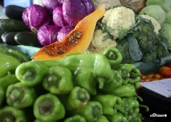 Los vegetales asiáticos tienen más demanda en los mercados internacionales. | Ronny Cruz