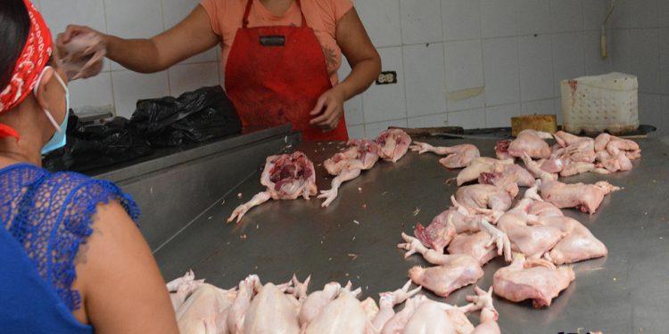 El pollo completo se comercializará a RD$125 en las bodegas móviles y locales de Inespre y del Ministerio de Agricultura.