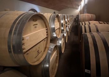 Las ventas externas de la viña Concha y Toro ascendieron a 360 millones de botellas en 2022.
