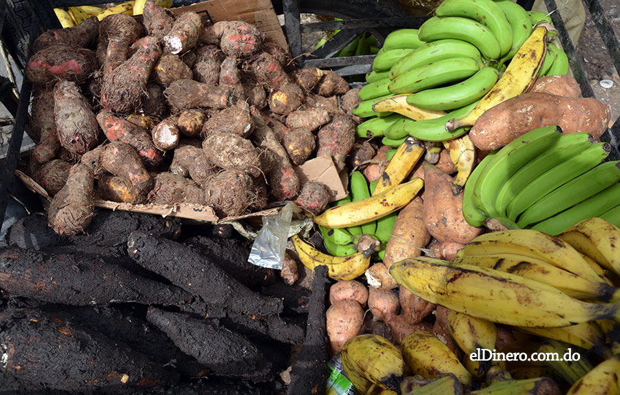El sector agrícola dominicano proporciona la mayoría de alimentos que consume la población.